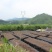 御勺牌香菇酱，***，原料来自自有工厂基地，出口备案。