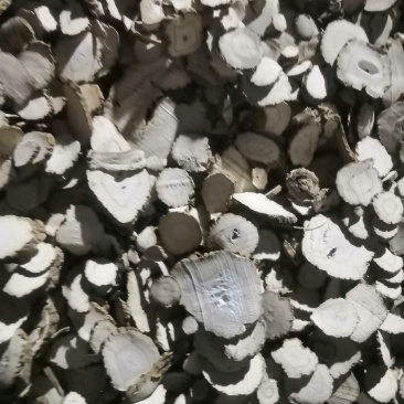 亳州本地白芷，质量保证价格优惠，诚信经营