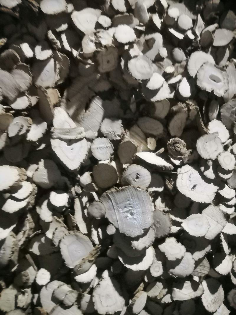 亳州本地白芷，质量保证价格优惠，诚信经营