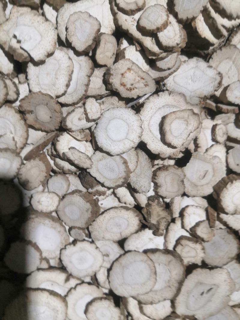 亳州本地白芷，质量保证价格优惠，诚信经营