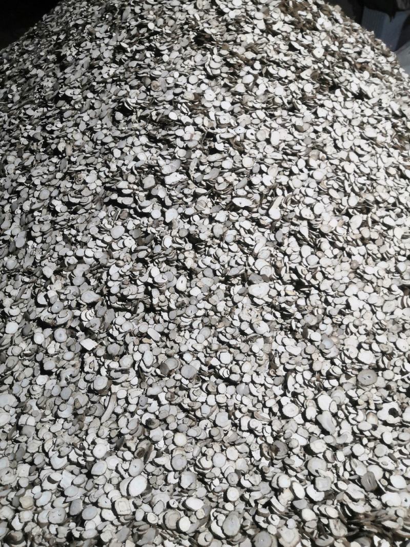 亳州本地白芷，质量保证价格优惠，诚信经营