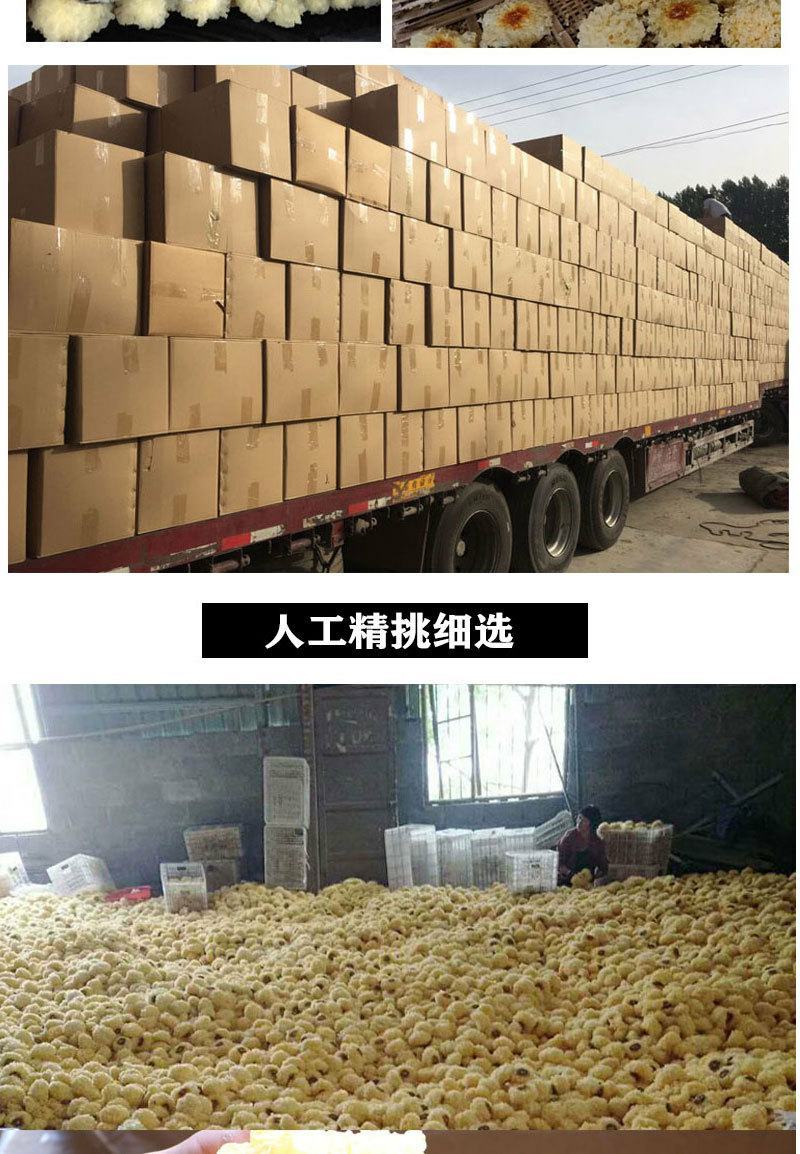 古田特产银耳2022新货干货银耳白木耳雪耳批发