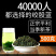 绞股蓝一手货源产地直销