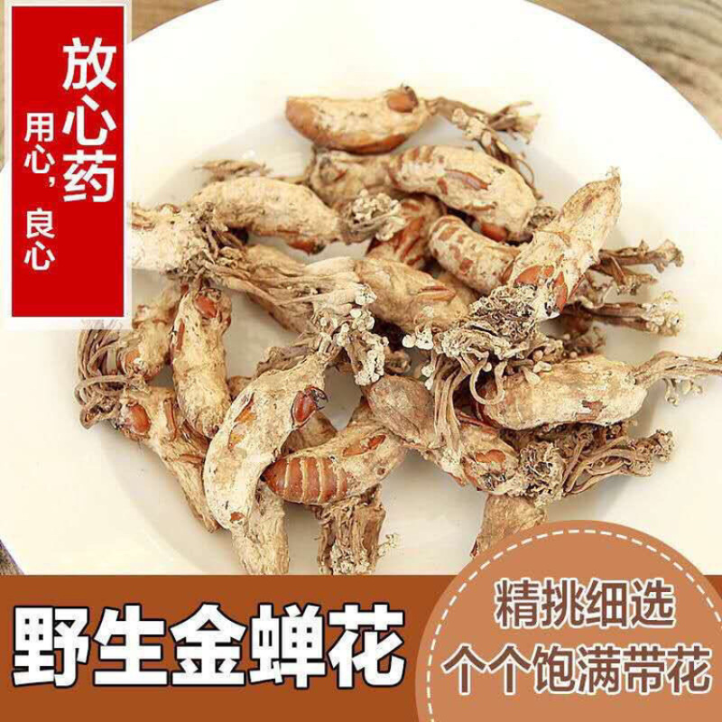 金蝉花一手货源产地直销