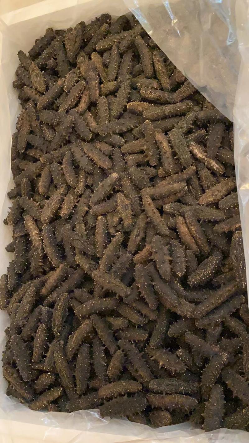 高刺淡干海参礼盒辽参