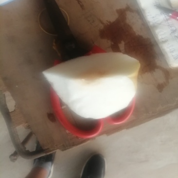 河南周口晚秋黄梨秋月梨大量陆续上市求合作