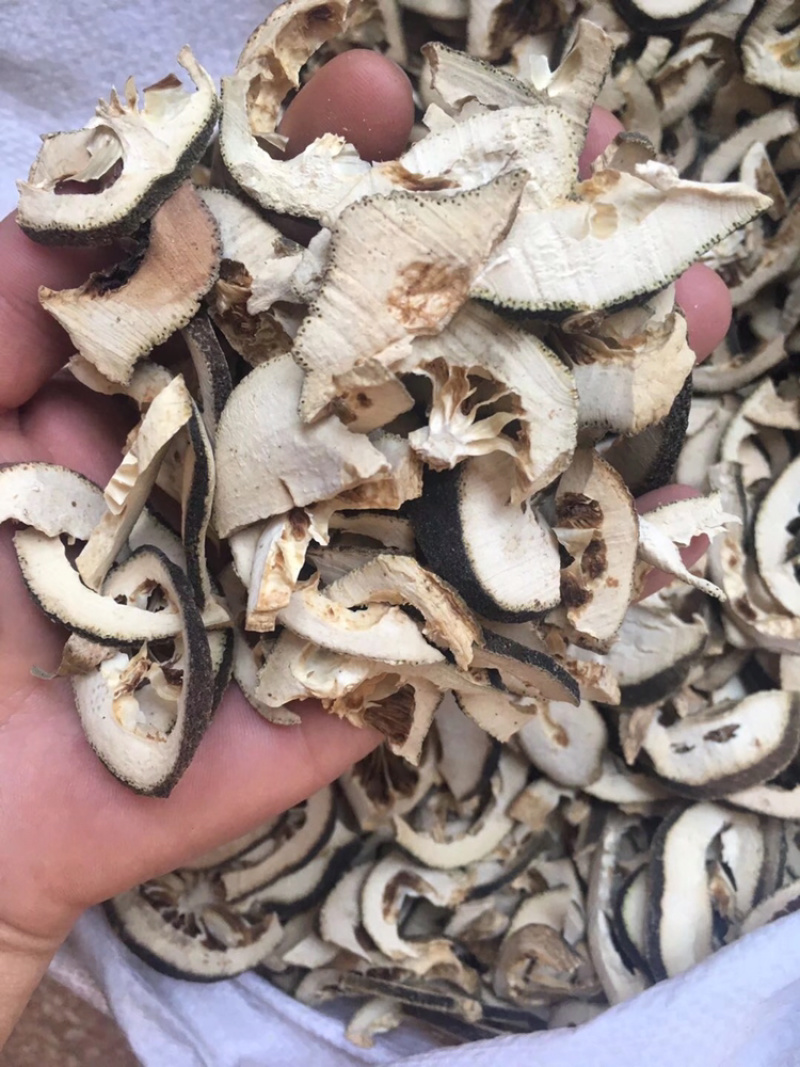 枳壳正品枳壳包含量纯干货