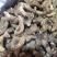 白芨正品白芨三叉白芨
