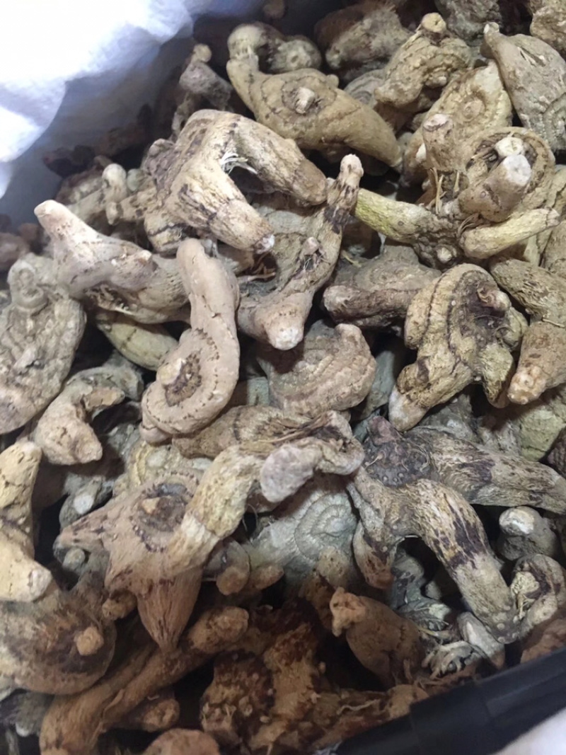 白芨正品白芨三叉白芨