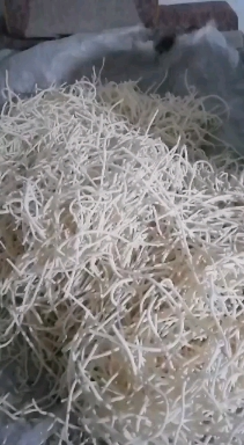 四川大凉山野生通草需要的赶紧出手