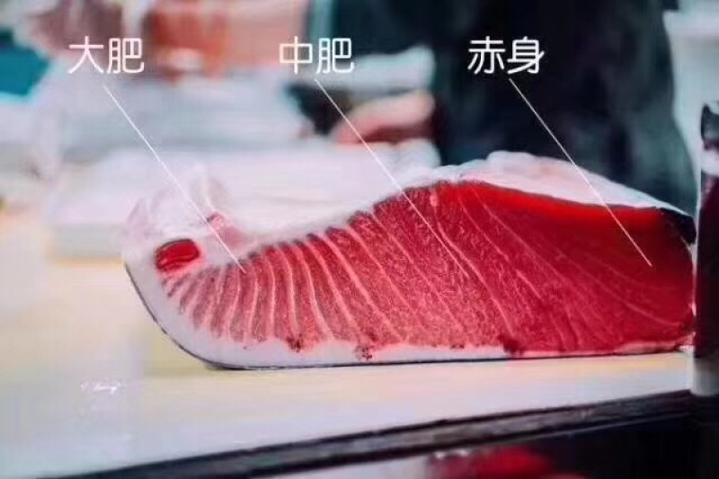 蓝鳍金枪大托天身肉。