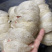 燕窝干货精品（美容养颜）量大价格优，可私聊