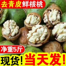 云南昭通野生核桃去青皮鲜核桃。现摘现发。一件包邮。