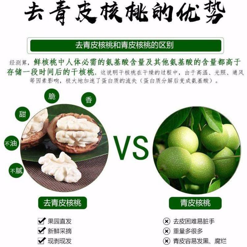 云南昭通野生核桃去青皮鲜核桃。现摘现发。一件包邮。
