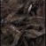 水产纯也生河虾，保正也生的价格26元1斤