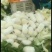 叶菜类高原夏菜诚信第一有需要的可以联系我