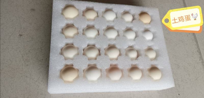 【时泰食品】太行山农家散养七彩土鸡蛋草鸡蛋40枚装