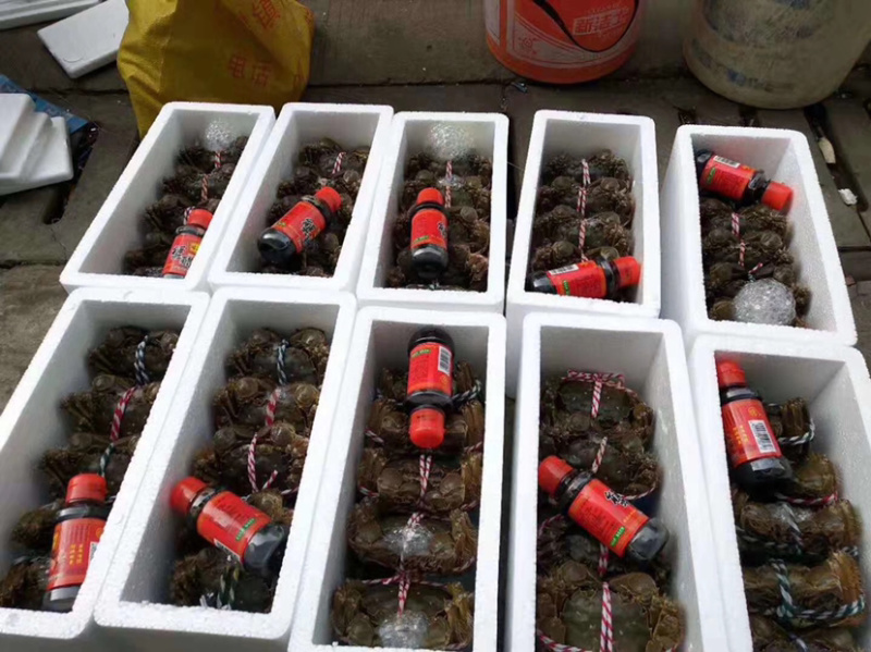 洪泽湖精品大闸蟹8两以上千亩螃蟹基地价格便宜
