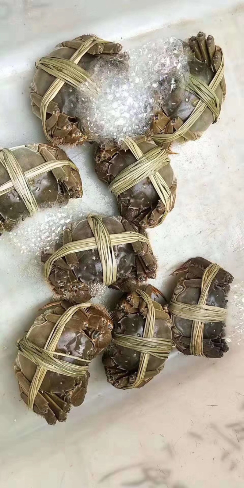 洪泽湖精品大闸蟹8两以上千亩螃蟹基地价格便宜