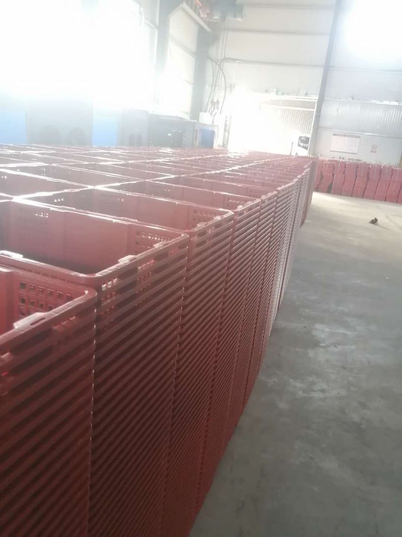 新桂圆筐。各种颜色都有，价格新筐旧筐的价