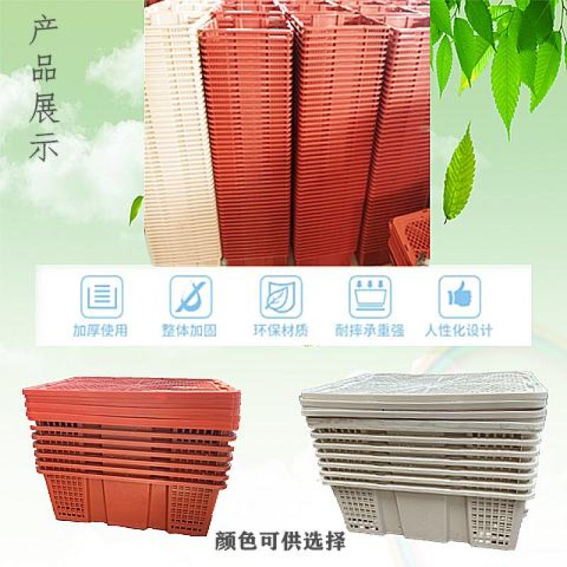 新桂圆筐。各种颜色都有，价格新筐旧筐的价