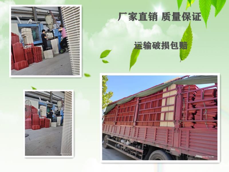 新桂圆筐。各种颜色都有，价格新筐旧筐的价