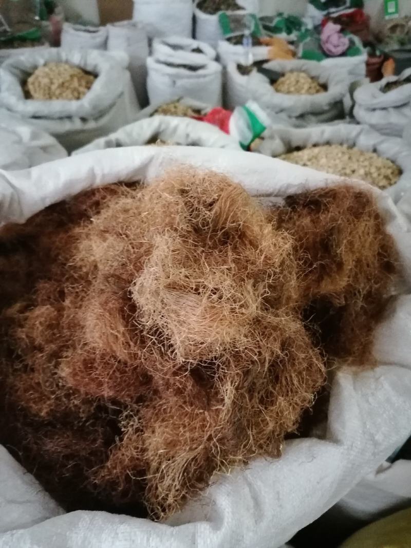 玉米须新货可泡水各种中药材批发质量保证中药材