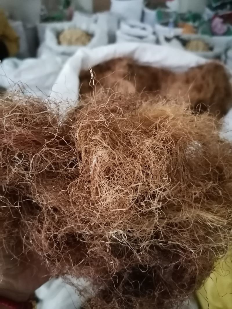玉米须新货可泡水各种中药材批发质量保证中药材