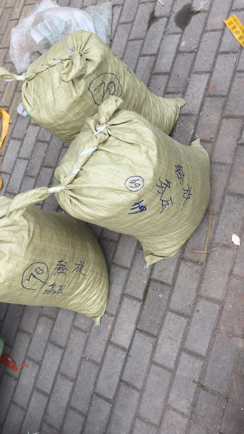 黄精种子姜形多花高杆不倒苗