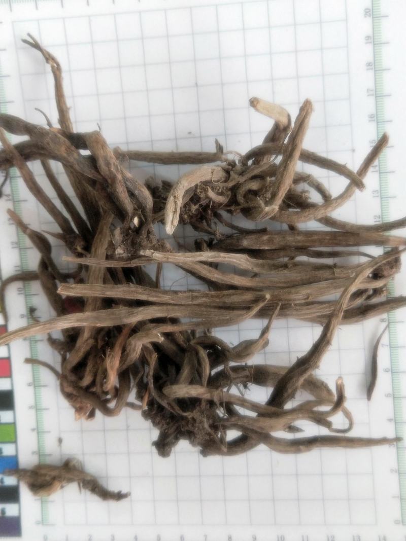 大小计中药材大小蓟猫蓟鱼刺蓟千针草新货无硫