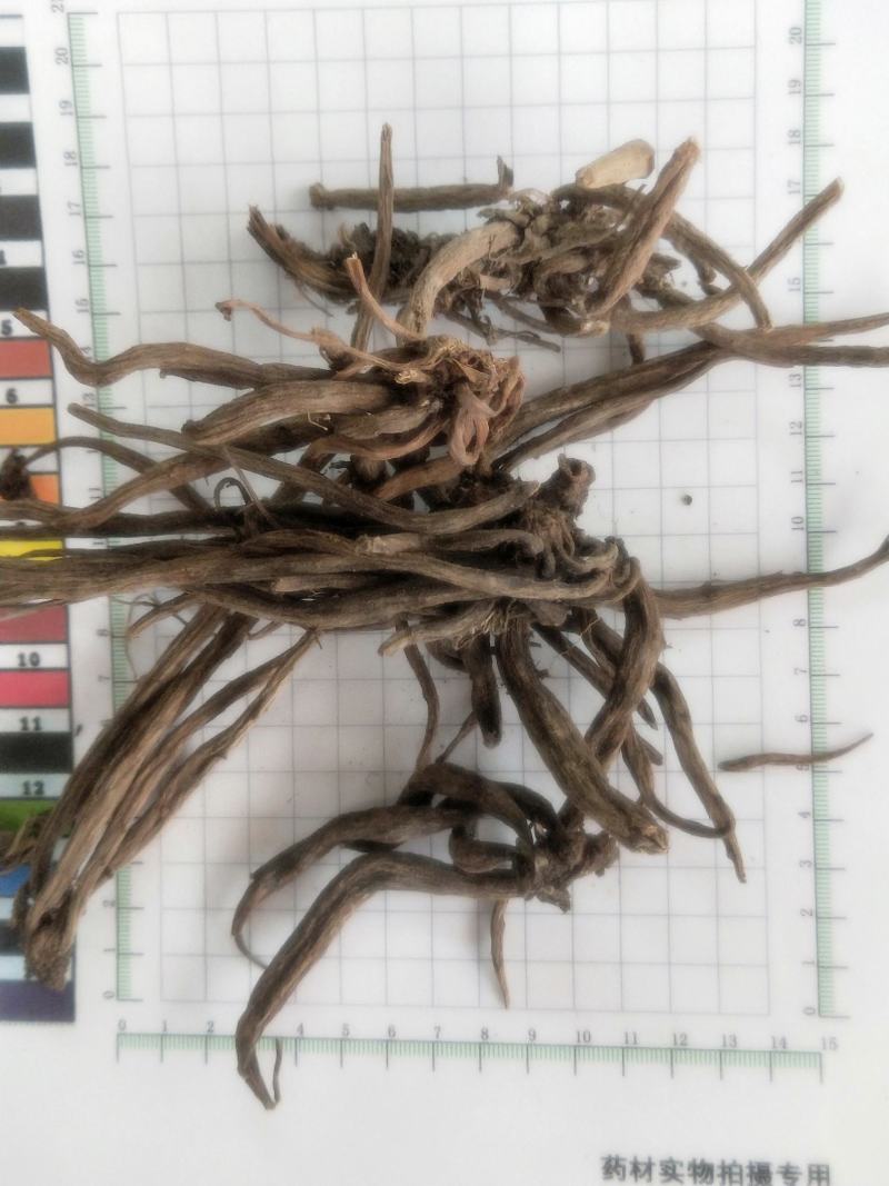 大小计中药材大小蓟猫蓟鱼刺蓟千针草新货无硫