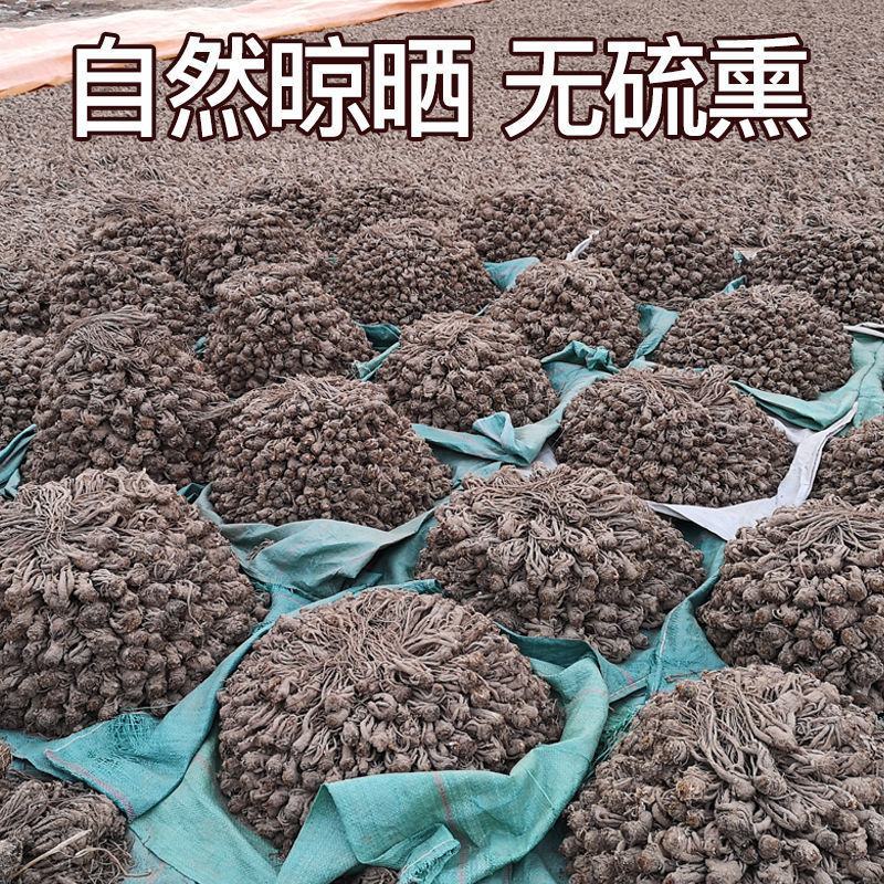 甘肃岷县无硫新货大当归，产地发货，精选特大条，量大优惠，