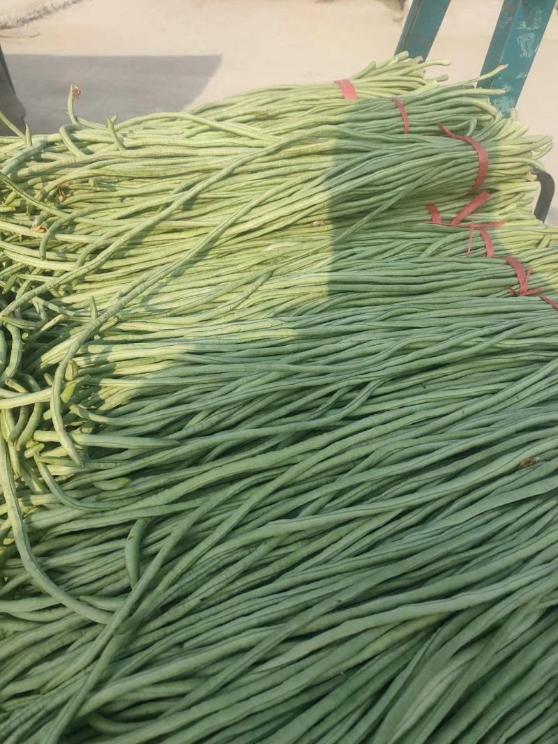 长豆角豆角精品上市。合作共赢。货源充足，