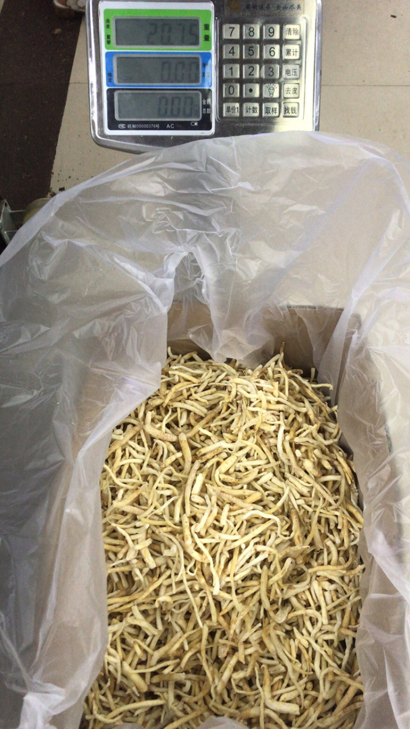 金堂沙参产地直销批发