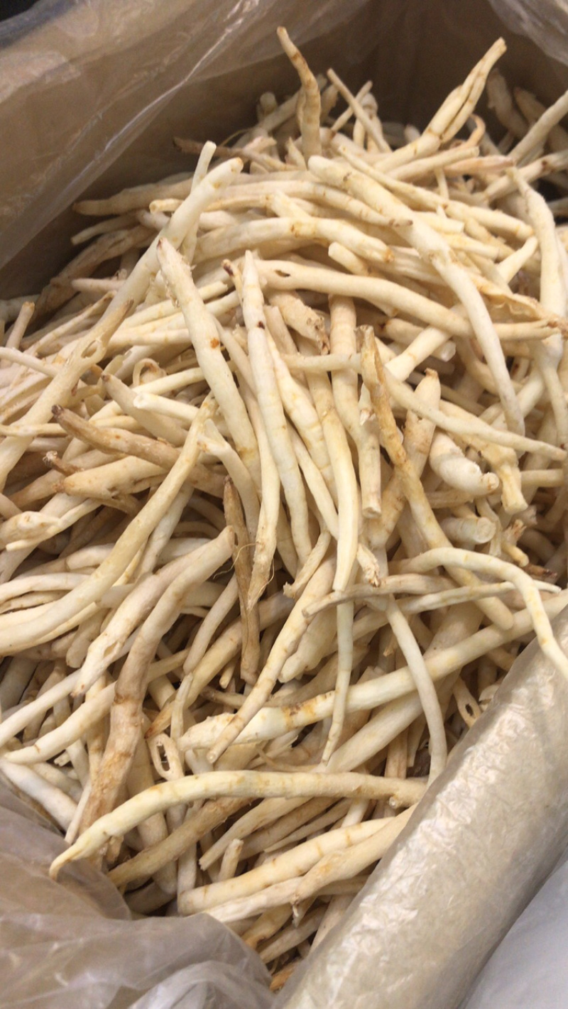 金堂沙参产地直销批发