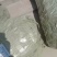 【包存活】山西国槐苗，一年生，两年生自家基地，现挖现发