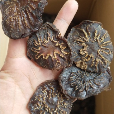 阿拉善冬季油苁蓉片(一件代发)，产地直发，无任何添加剂