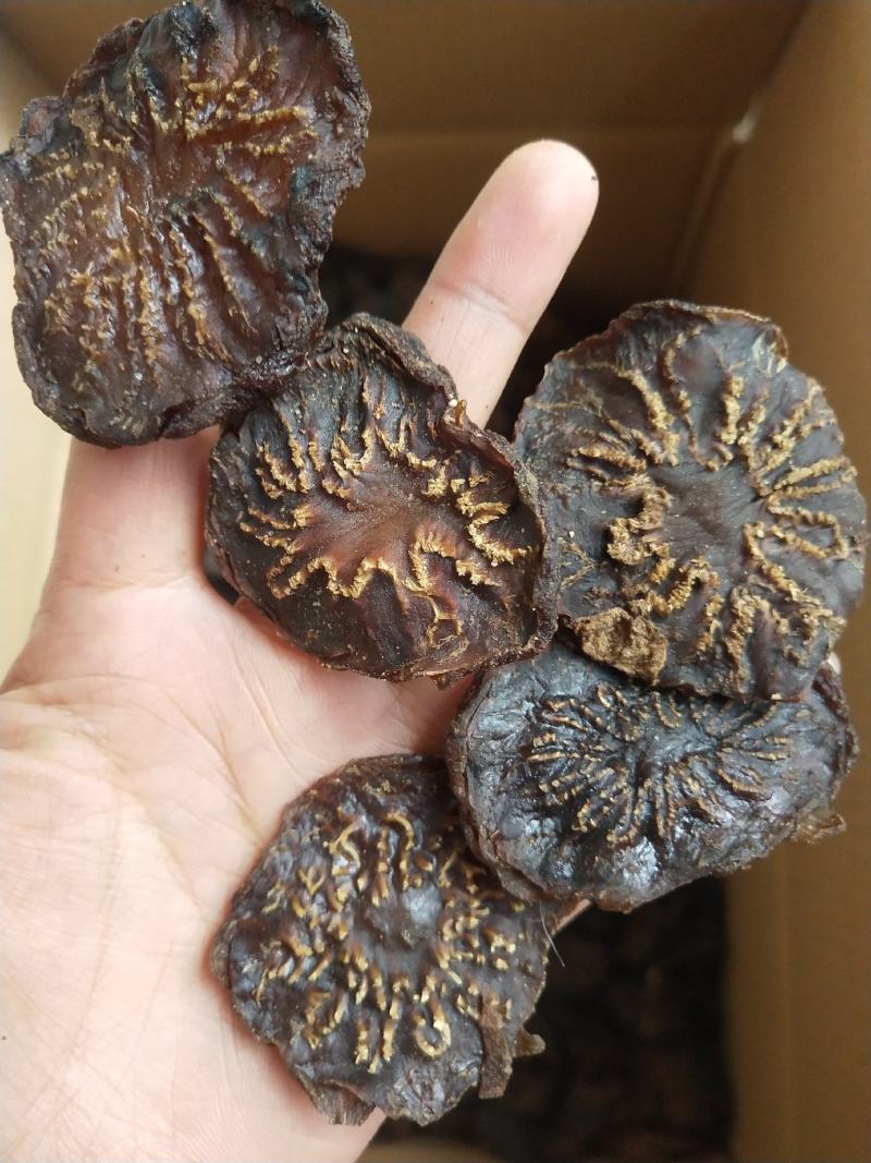 阿拉善冬季油苁蓉片(一件代发)，产地直发，无任何添加剂