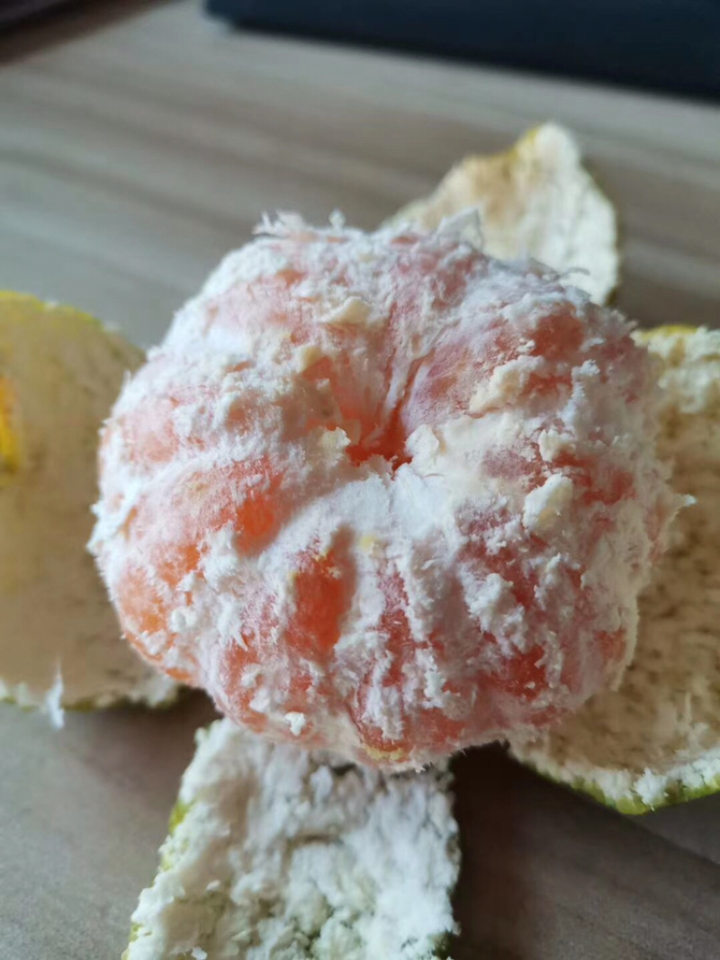 特早柑橘成熟于8月下旬-9月下旬，果肉橙红色，口感浓甜