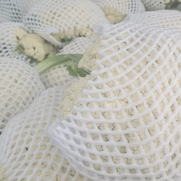精品青根有机花菜上市