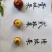 沾化脆甜孕妇小孩时令水果