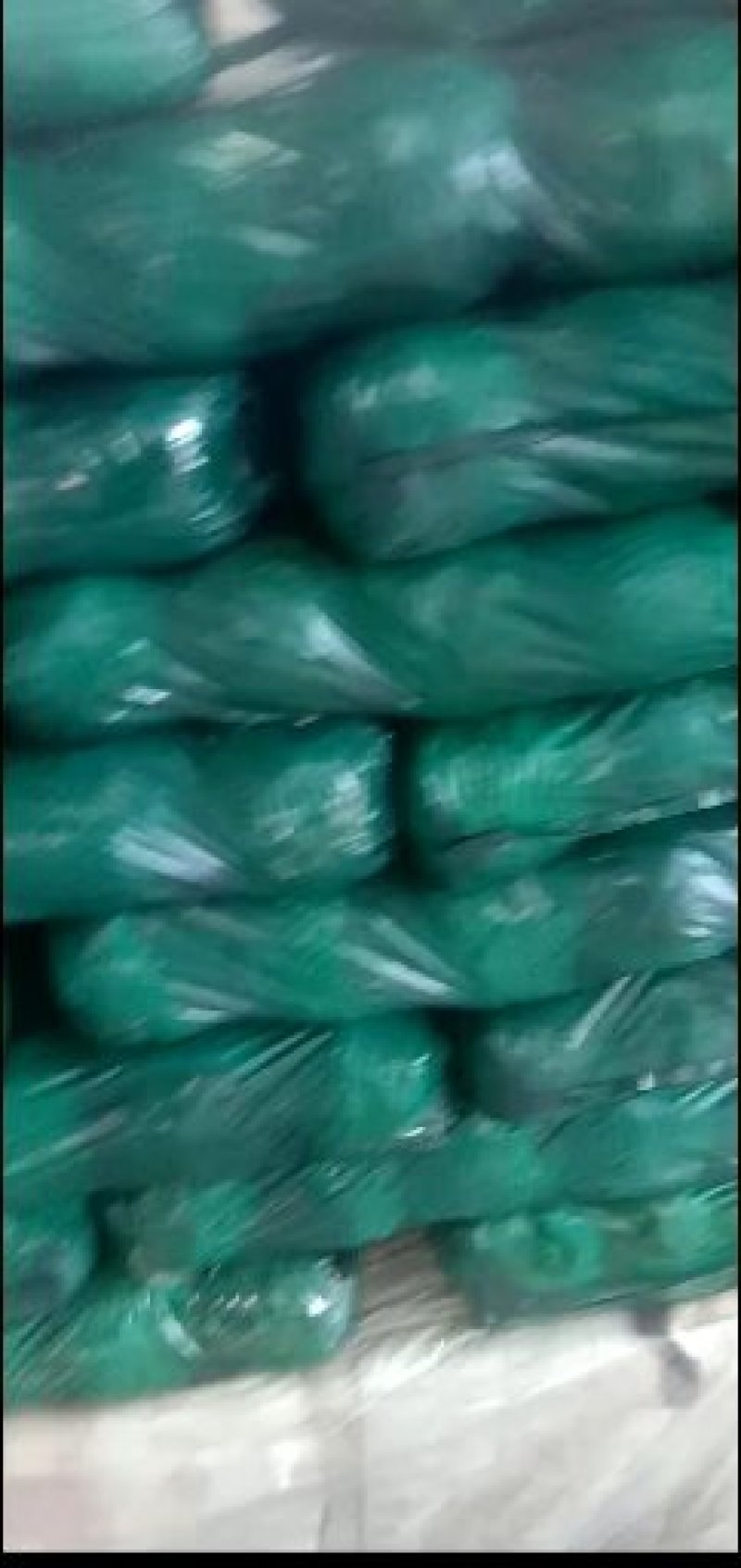 绿甘蓝精品1~2公斤发往各地