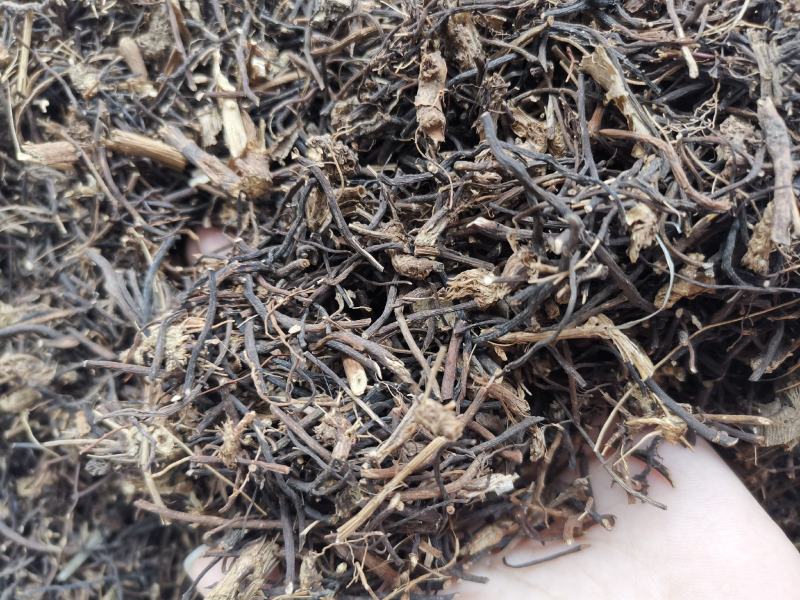 威灵仙东北吉林威灵仙纯净无硫货量大从优可供批发零售