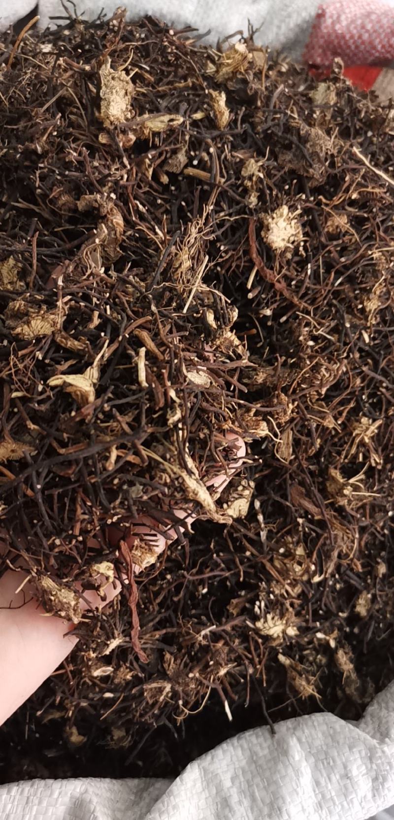 威灵仙东北吉林威灵仙纯净无硫货量大从优可供批发零售