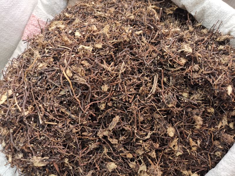 威灵仙东北吉林威灵仙纯净无硫货量大从优可供批发零售