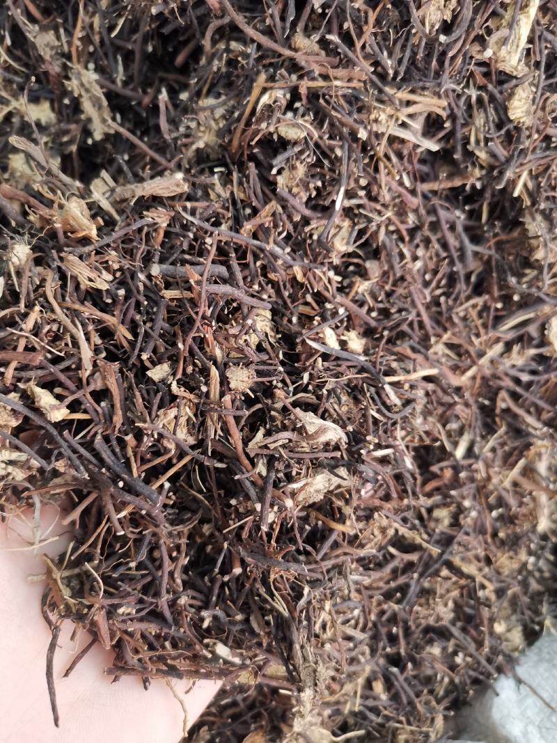 威灵仙东北吉林威灵仙纯净无硫货量大从优可供批发零售