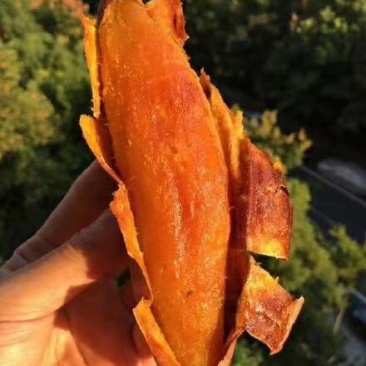 烟薯25红心地瓜番薯红薯烤地瓜一件代发产地直供