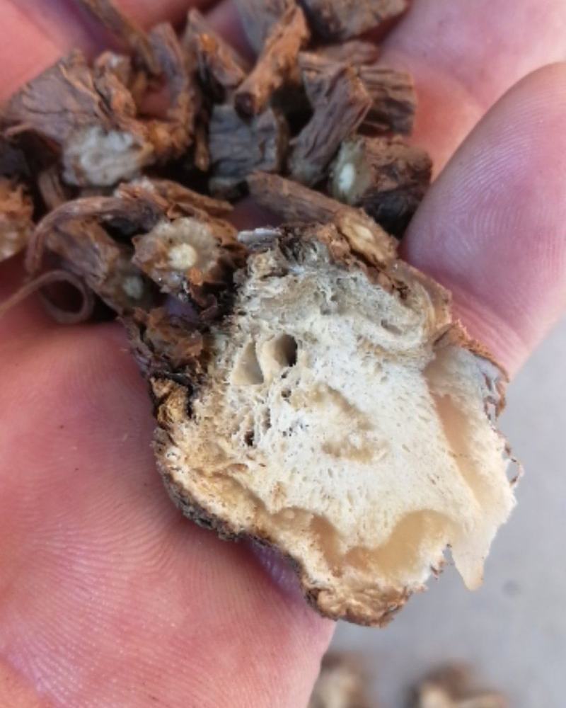 甘肃无硫当归片，当归头，全当归，全国包邮。