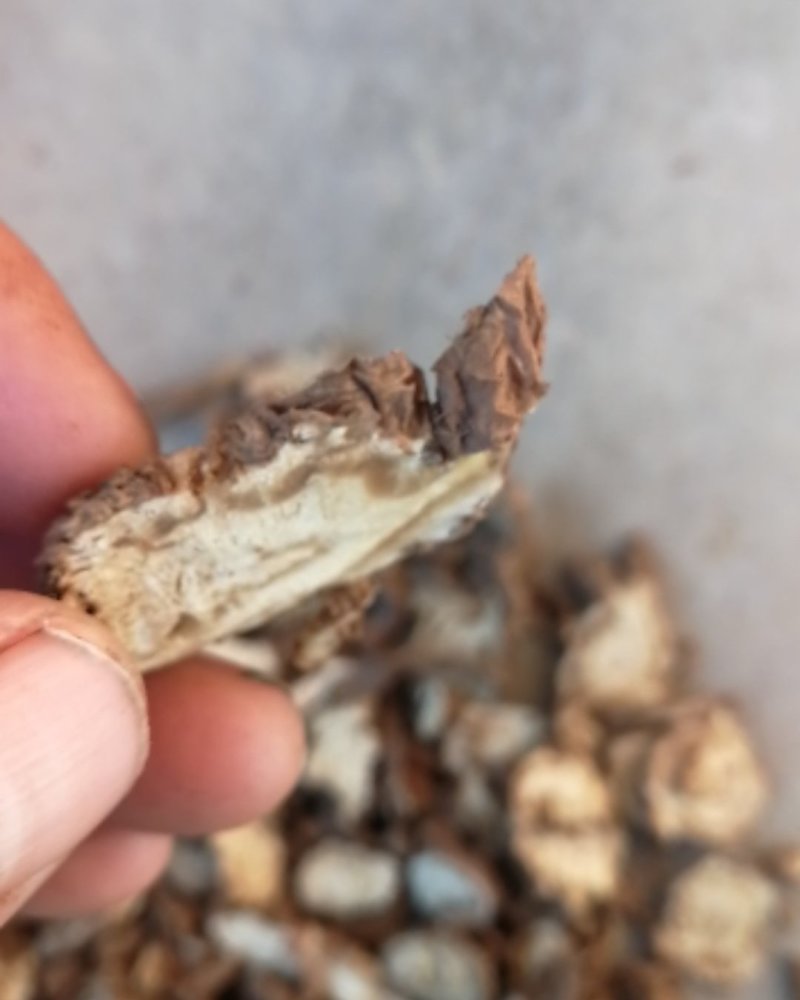 甘肃无硫当归片，当归头，全当归，全国包邮。