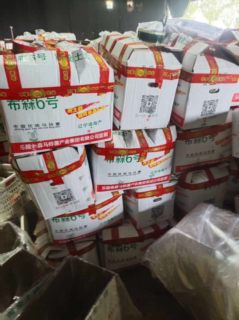 发全国土豆批发、长年常年货源稳定，荷兰系列、闽署、希森